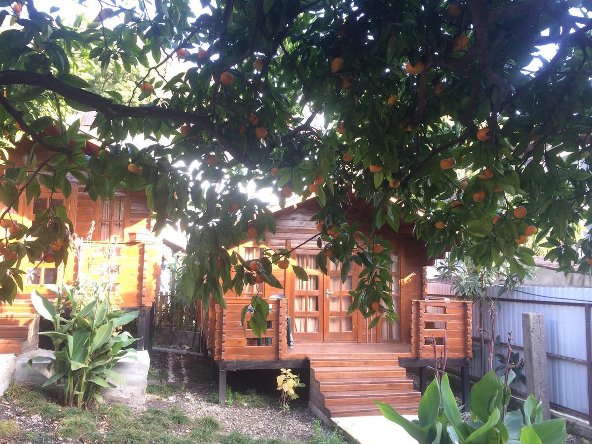 Cottage house New Athos Exterior photo